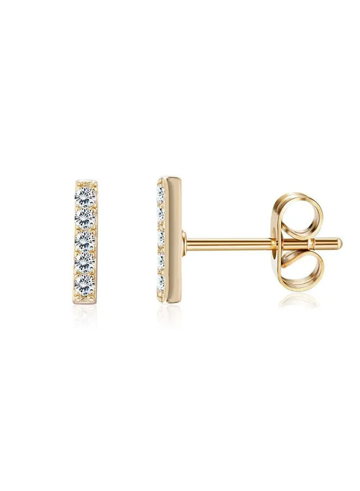 Fashion Ladies Earrings Ake246C