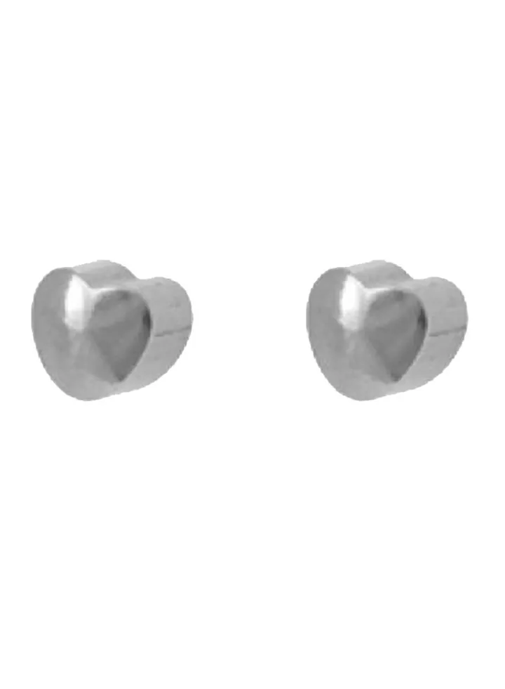 316L Stainless Steel Heart Shaped Earrings