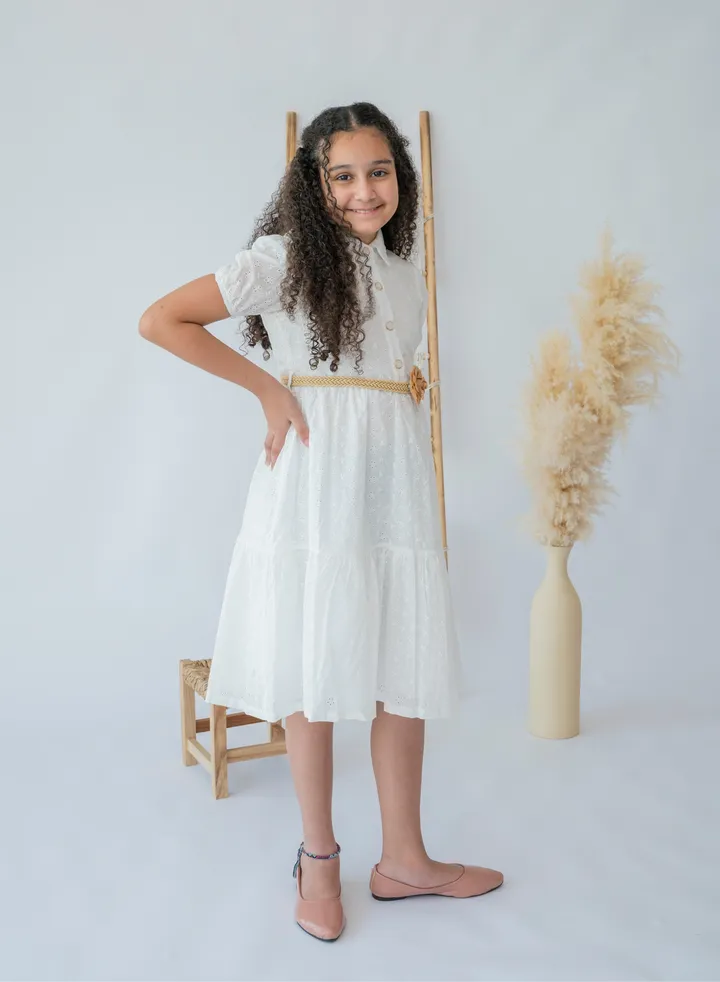 Classic Elegance Belted Dress