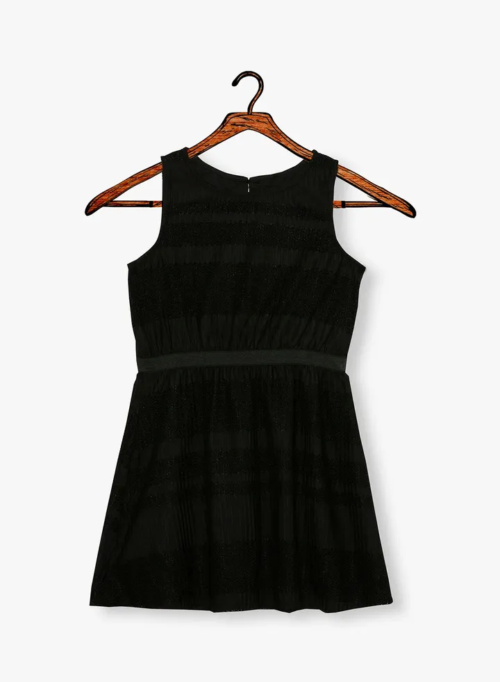Plisse Spencer A-Line Dress Black