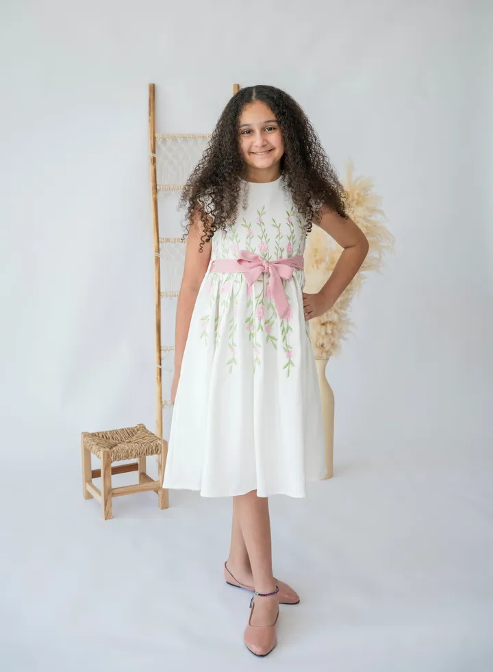 Garden Gala Embroidered Dress