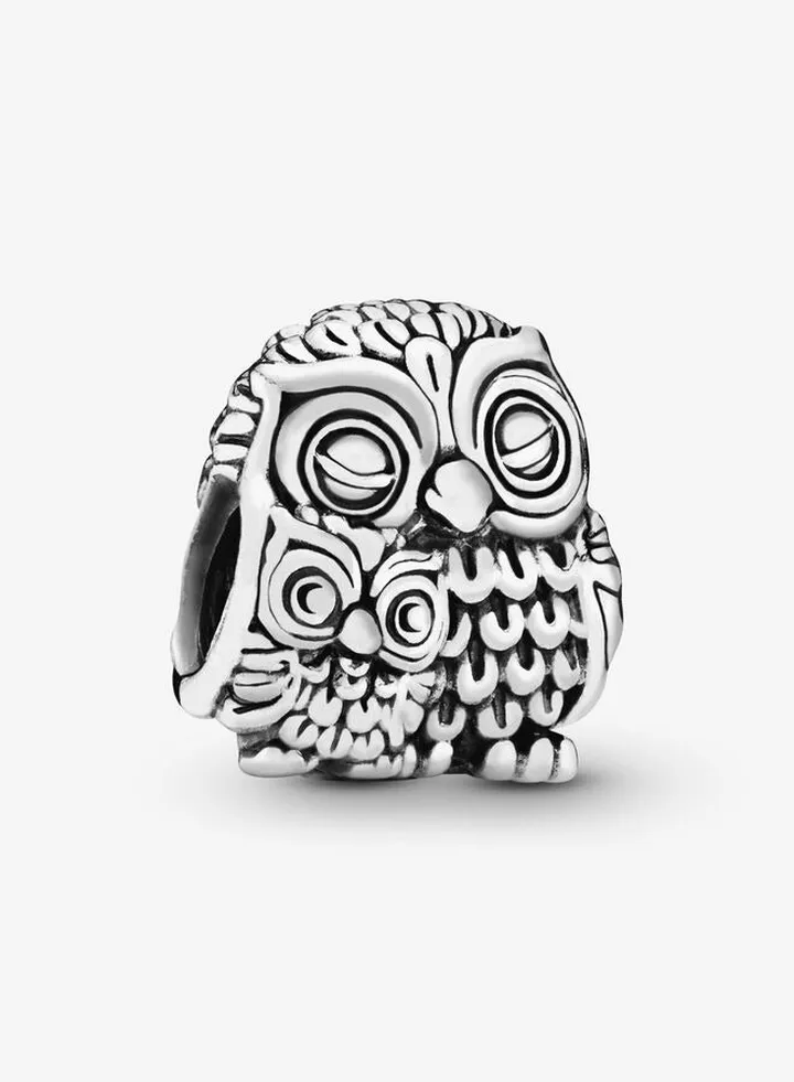 Pandora Owl Family Silver Charm for Pandora Moments Women's Bracelet 791966