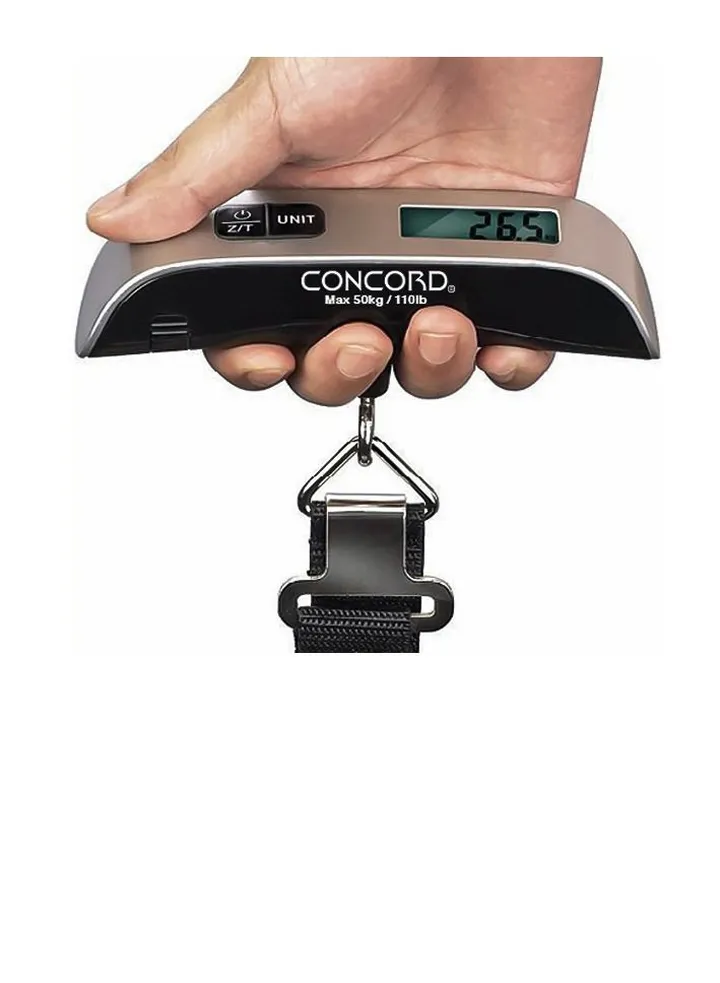 Digital Luggage Scale Regular - silver