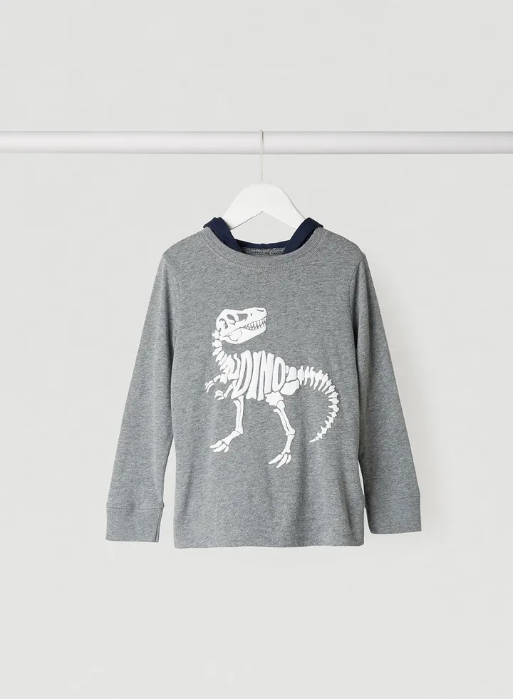 Dino Graphic Print Long Sleeves Hoodie Grey