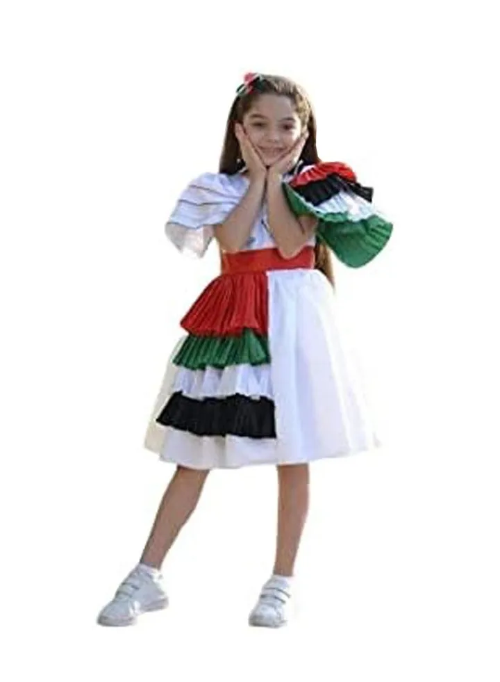 Fashionable Side Pleating UAE National Day Flag Dress