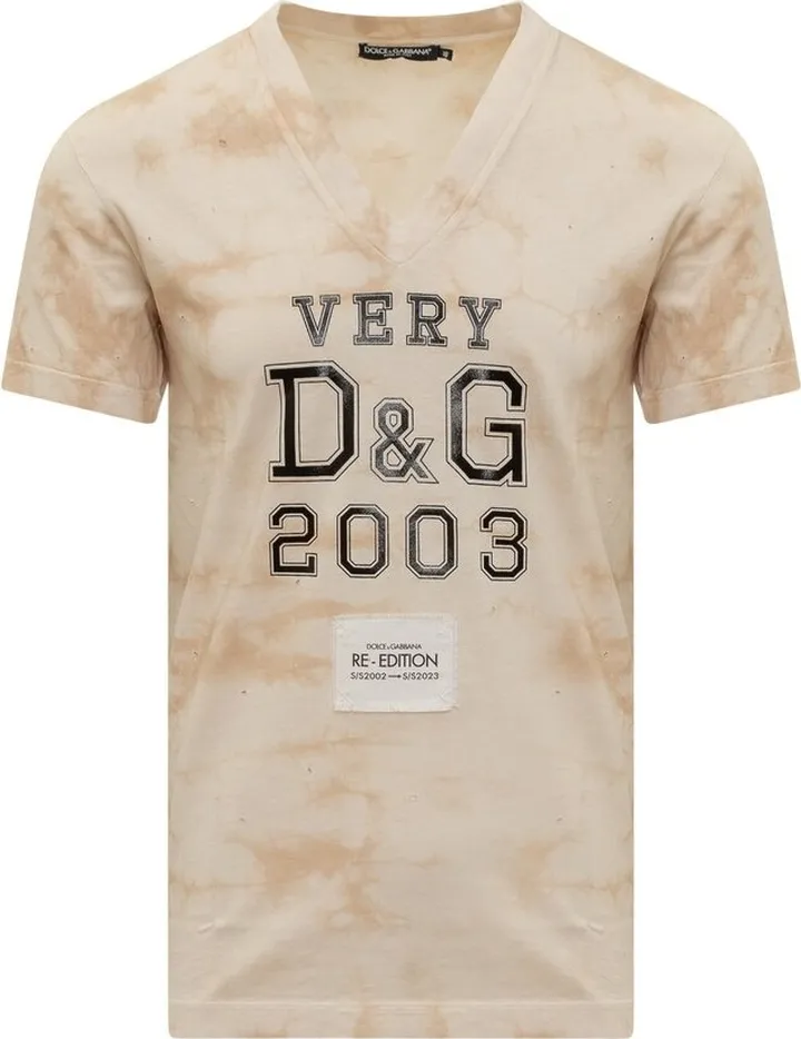 Dolce & Gabbana Logo Printed V-Neck T-Shirt