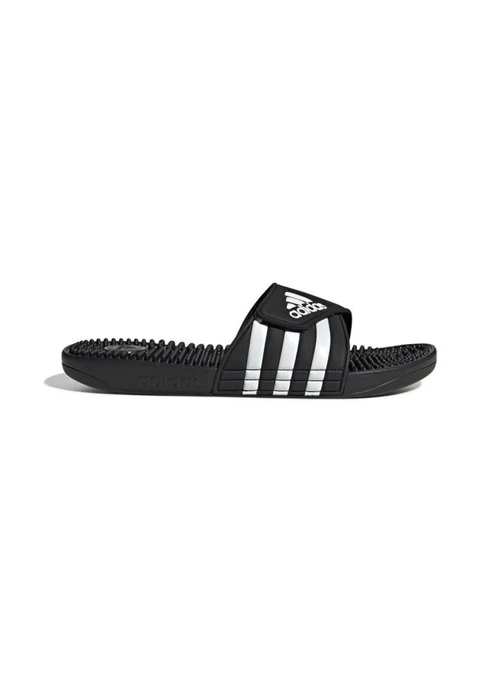 ADISSAGE slides