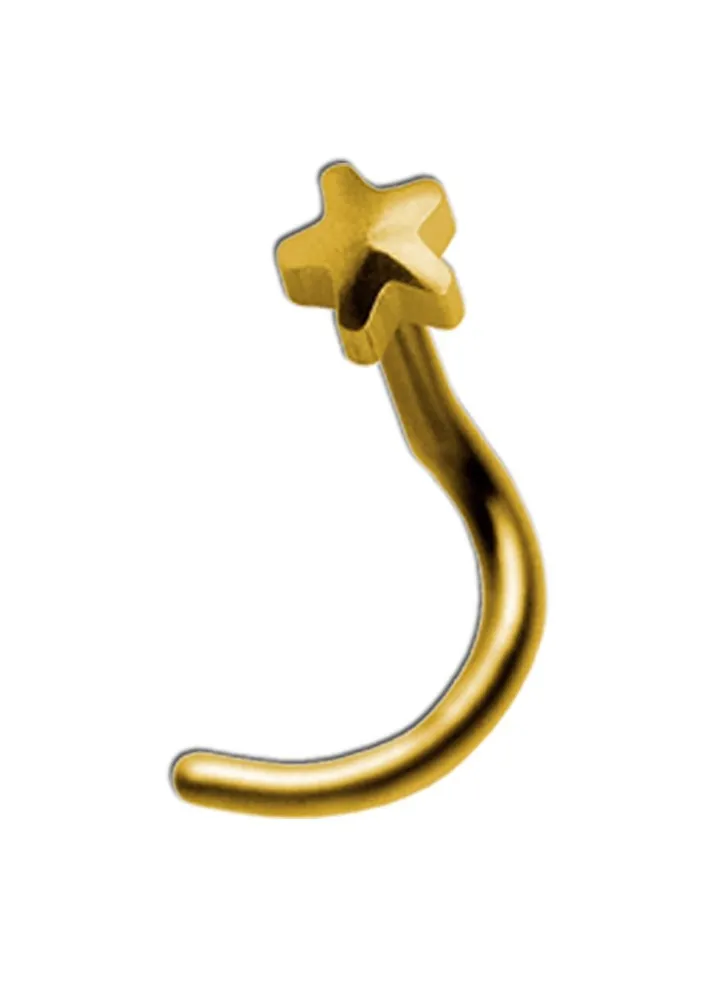 24k Gold plated Nose Star Made in USA