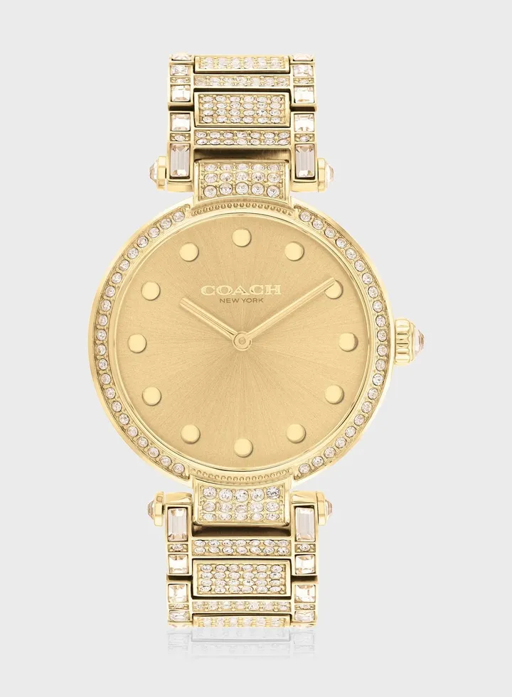 Cary Steel Strap Analog Watch