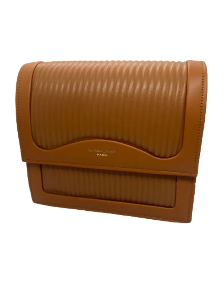 Luxury women's leather bag, brown color, from David Jones