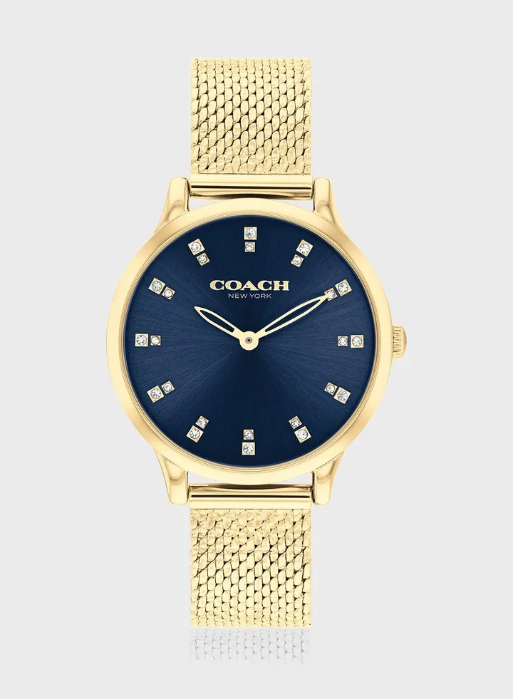 Chelsea Analog Watch