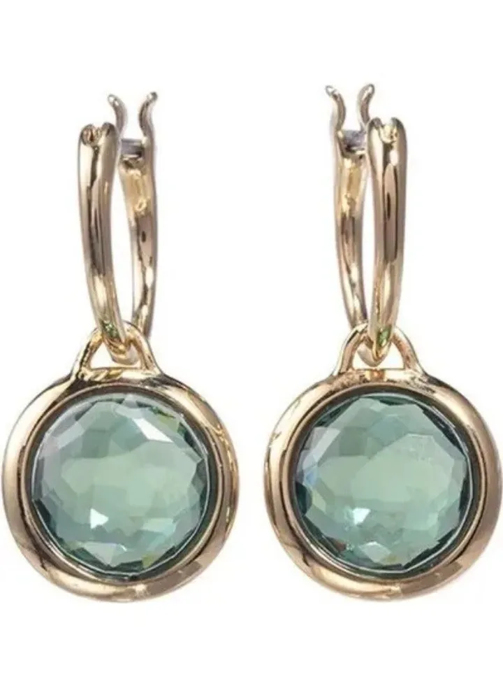 Generic Swarovski Tahlia Elegant Earrings