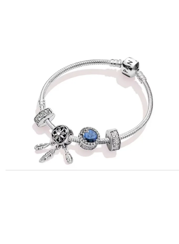 Pandora Dreams of Good Times Bracelet