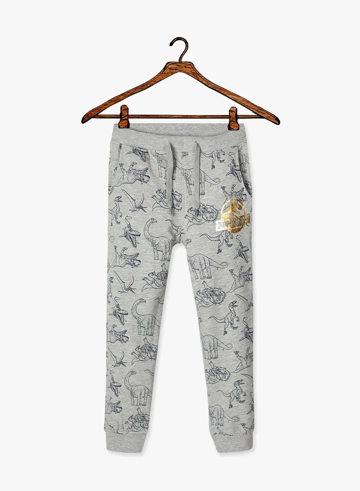 Boys Jurassic World Sweatpants Grey