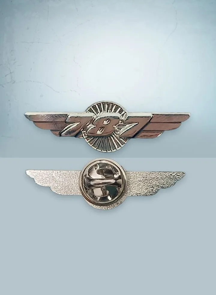 787 Silver Wings Pin