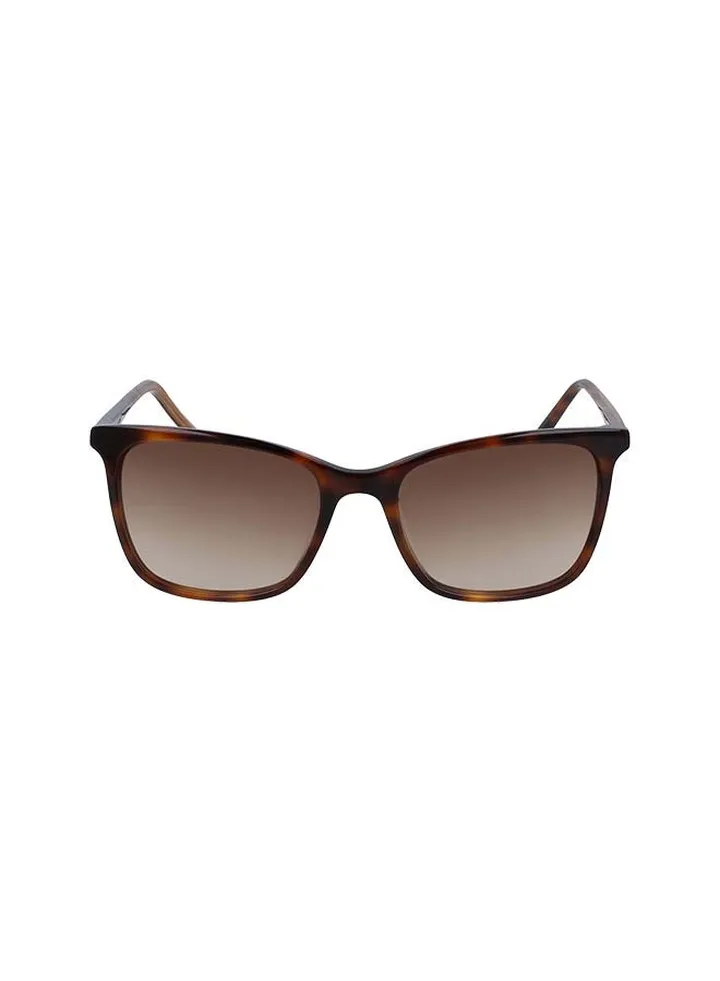 Women's Full Rim ZYL Square Sunglasses DK500S-240-5418