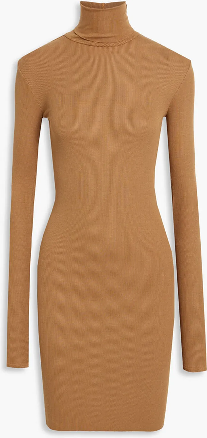 Ribbed Tencel-blend jersey turtleneck mini dress