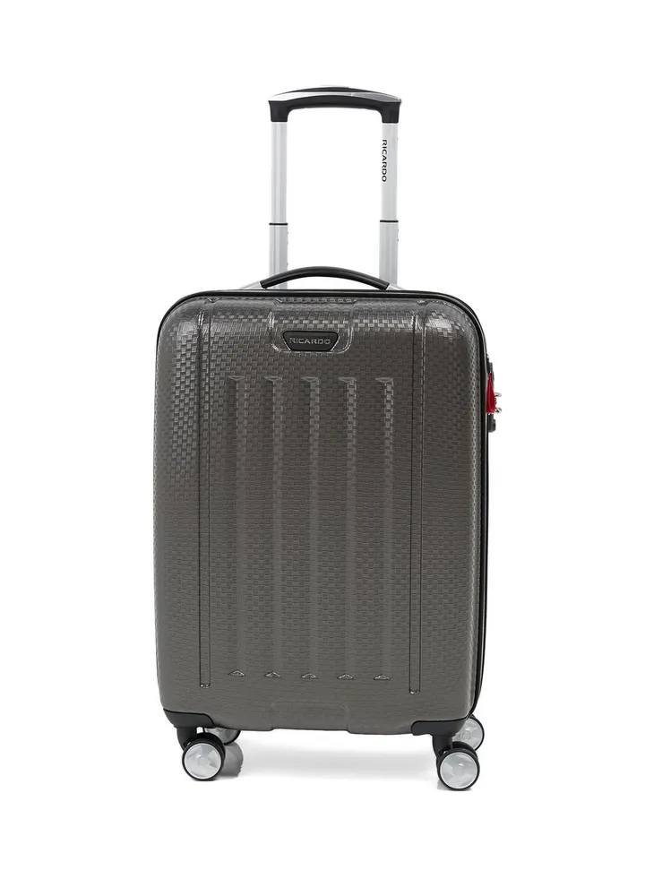 Clovis Spinner Trolley 20-Inch Dark Pewter/Black