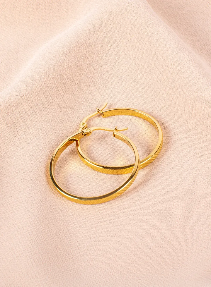Stainless Steel Golden Circle Earring