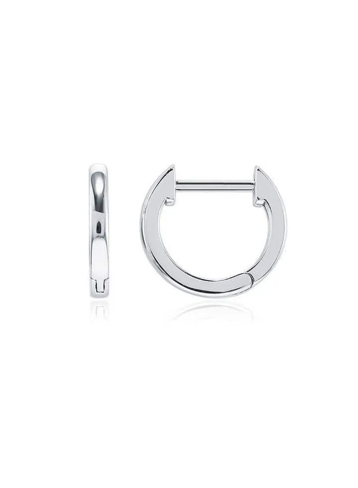 Fashion Ladies Earrings Ake239A