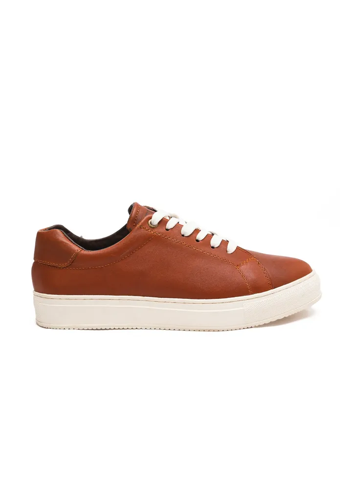 Low Top Sneakers
