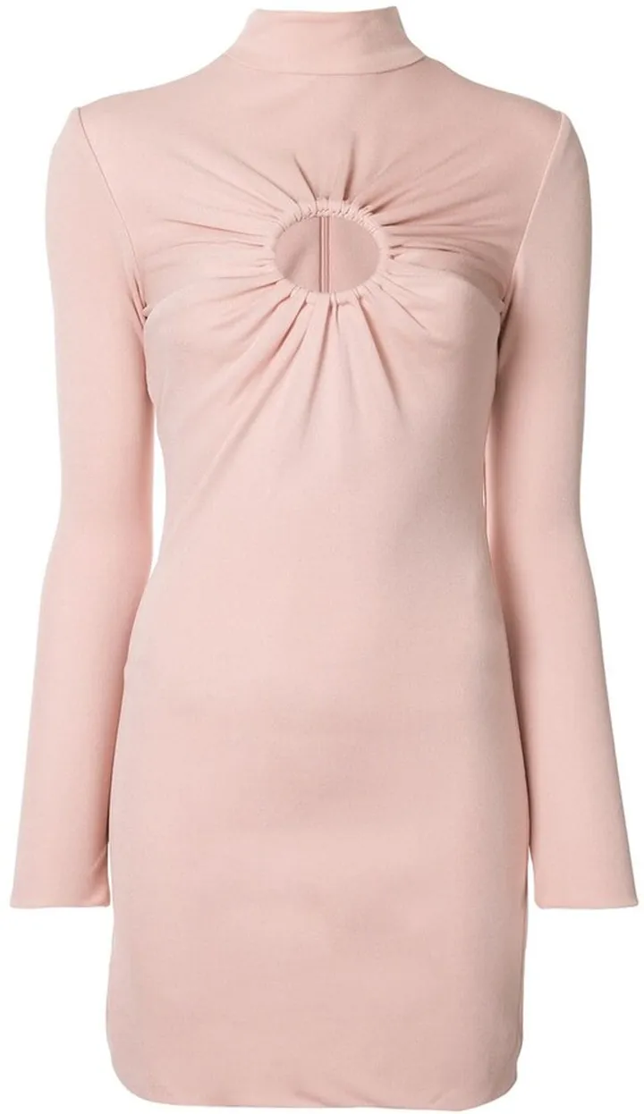 Gathered Detail Fitted Dress