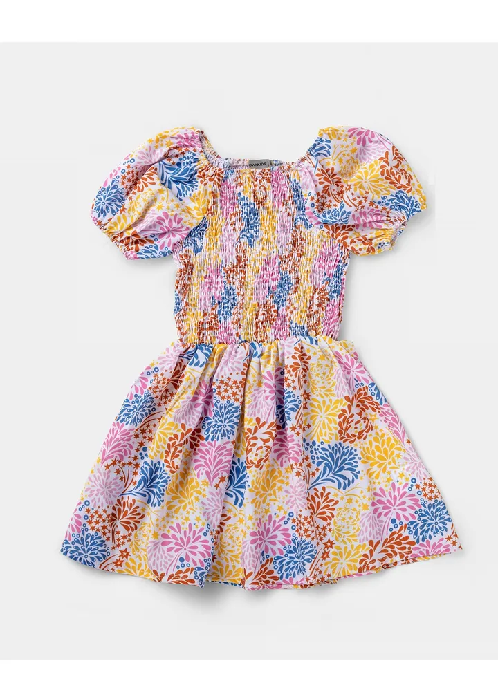 Girls Dress Multicolour