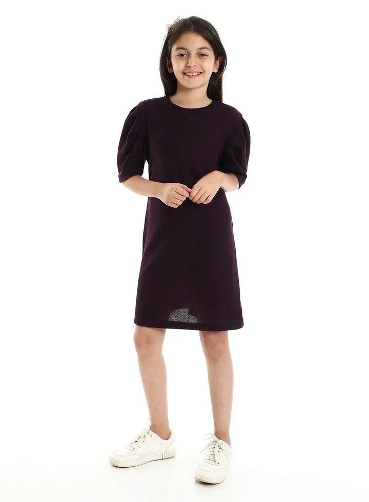 Slip On Round Neck Regular Girls Dark Purple Dress