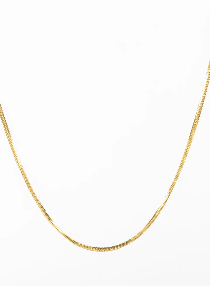 Stainless Steel Golden Necklace 2mm