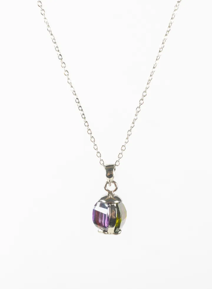 Silver Stainless Steel Necklace with a Multicolored Zirconic Pendant