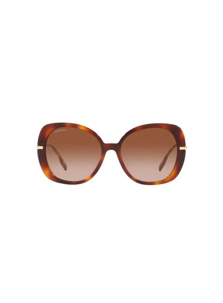 Full Rim Square Sunglasses 4374-55-3316-13