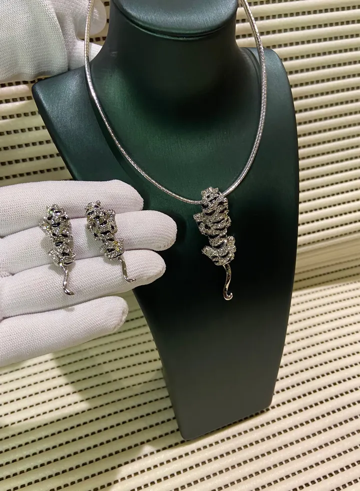 Elegant Stainless Steel Necklace & Earrings Set
