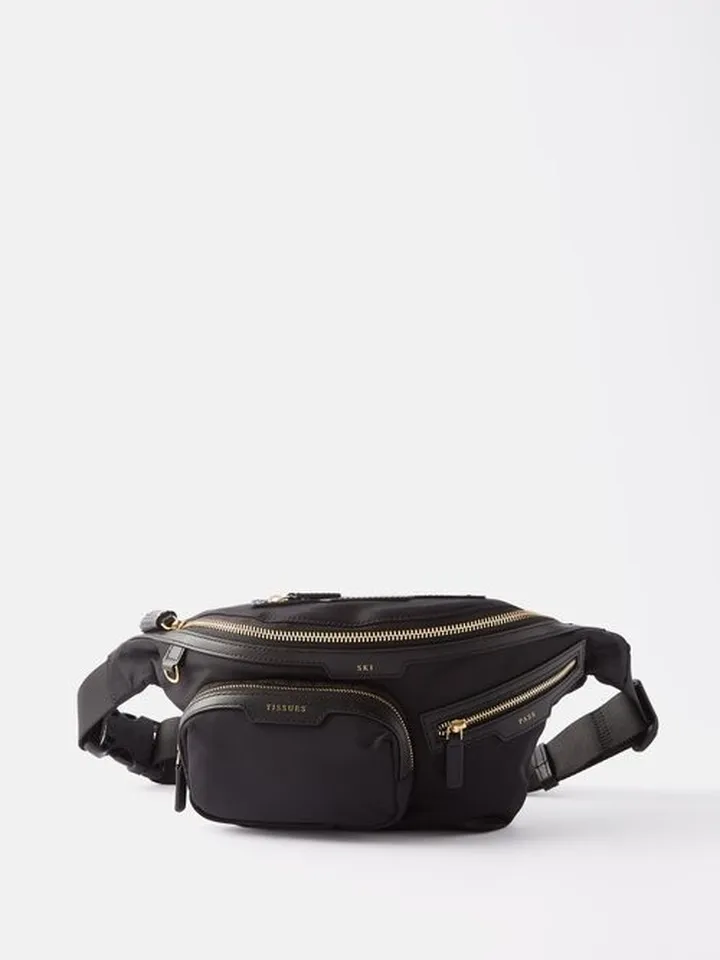 Ski Recycled-nylon Belt Bag