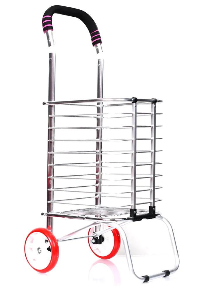 Morano Folding Shopping Cart 2 wheels Silver