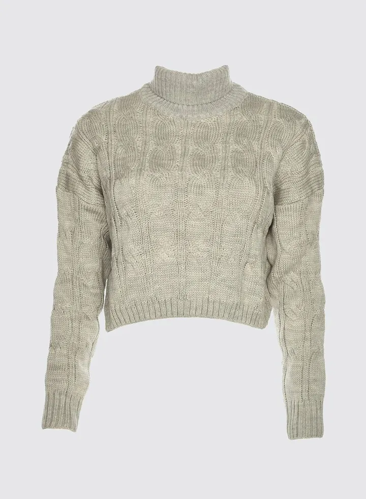 Roll Neck Crop Sweater