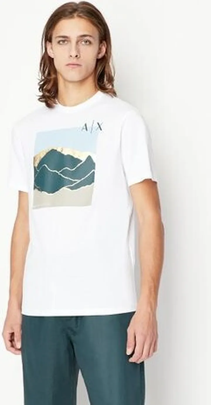 Regular fit jersey cotton logo t-shirt
