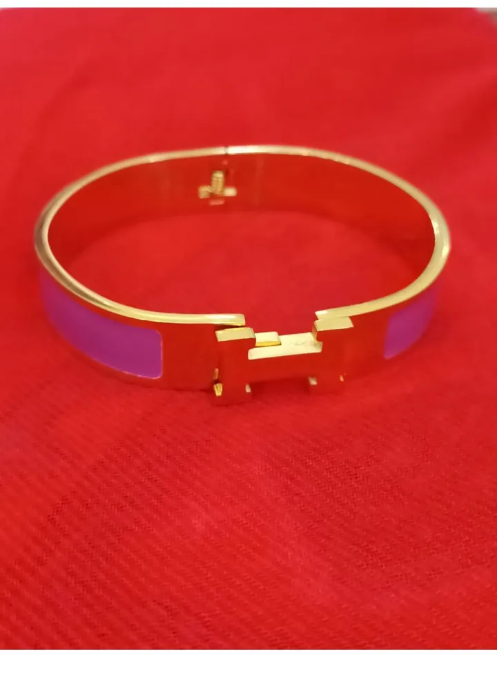 Luxury Women Stainless Steel H-shaped Buckle Bracelet Famous Women's Designer Brand Gold Gift Jewelry