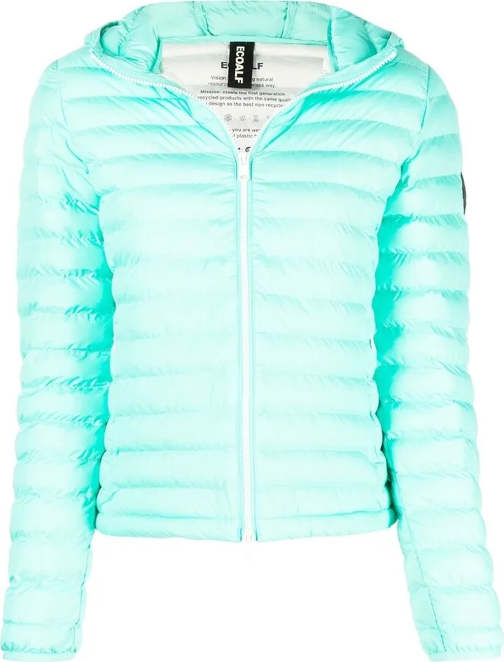 Hooded Puffer Jacket