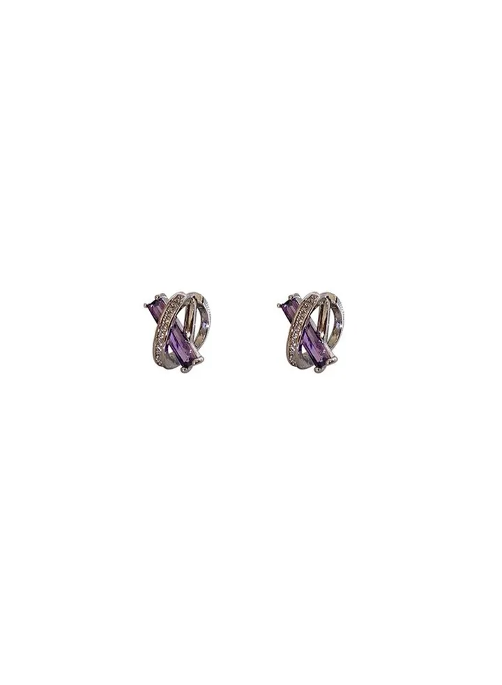 Purple Fashion Hoop Earrings