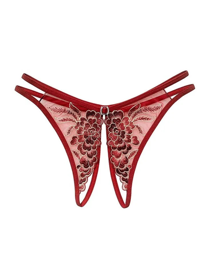 Women's Briefs Ladies Embroidered Thong Low Waist Cutout Panties Red