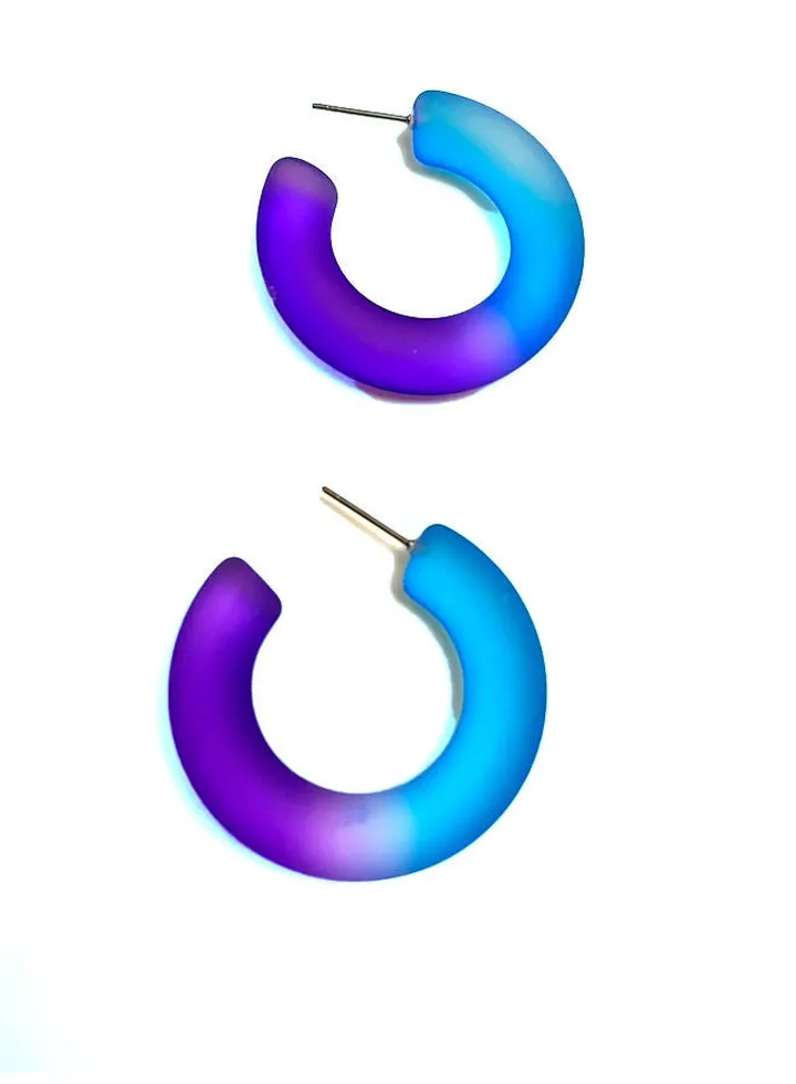 Purple/Blue Semi Circled Earrings