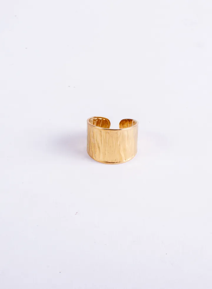 Stainless Steel Golden Ring Free Size
