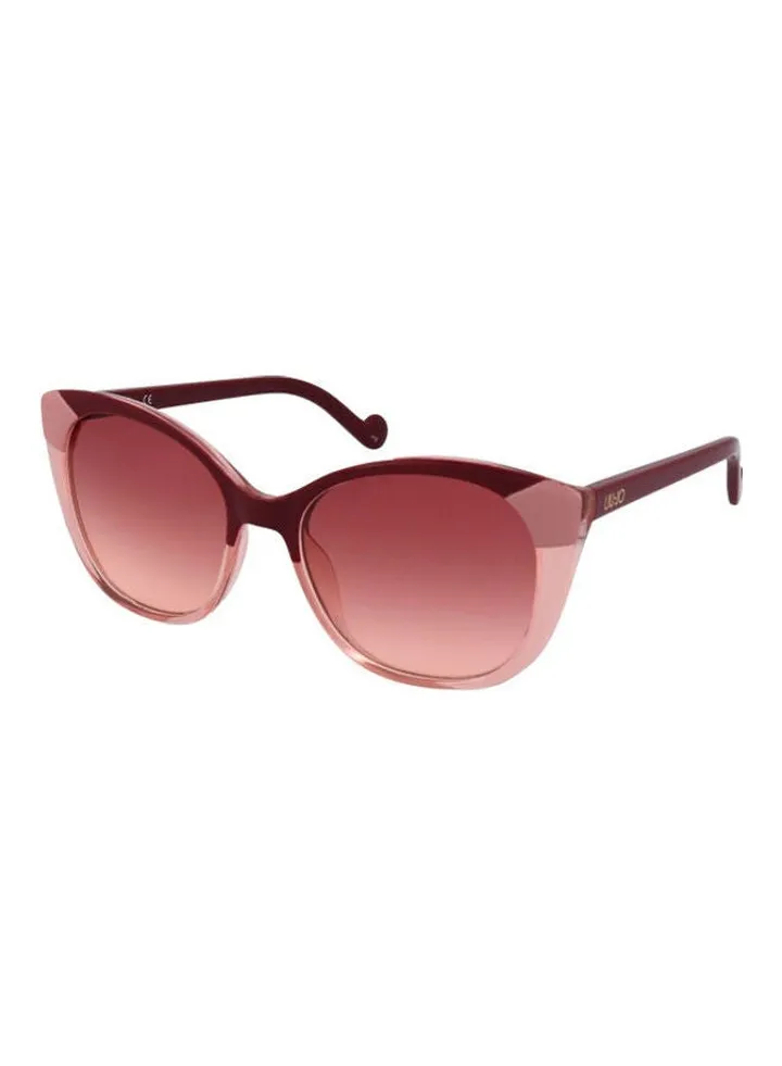 Women's Full Rim Butterfly Sun Glass lj714s