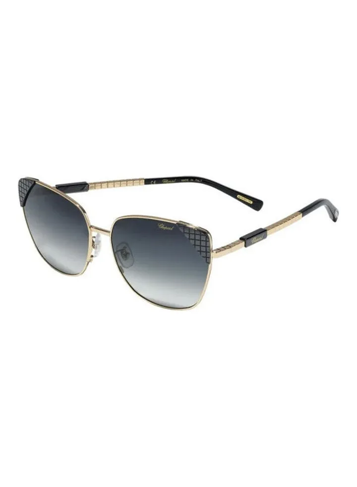 Women's Full Rim Butterfly Sun Glass Schc41