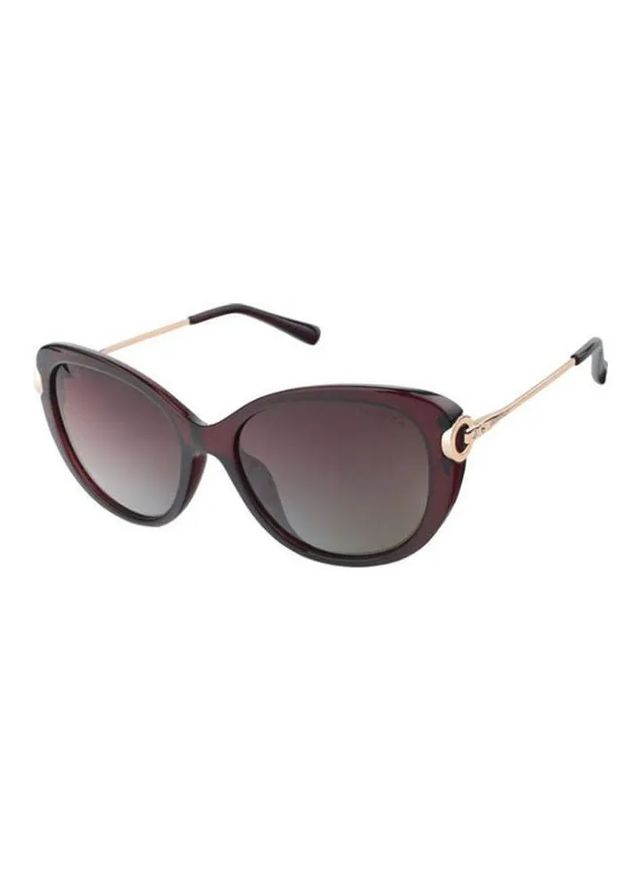 Women's Butterfly Sunglasses Ds1886 C2