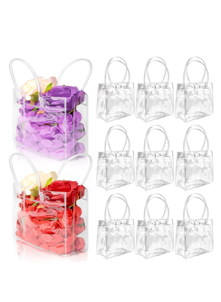Transparent Shopping Bag