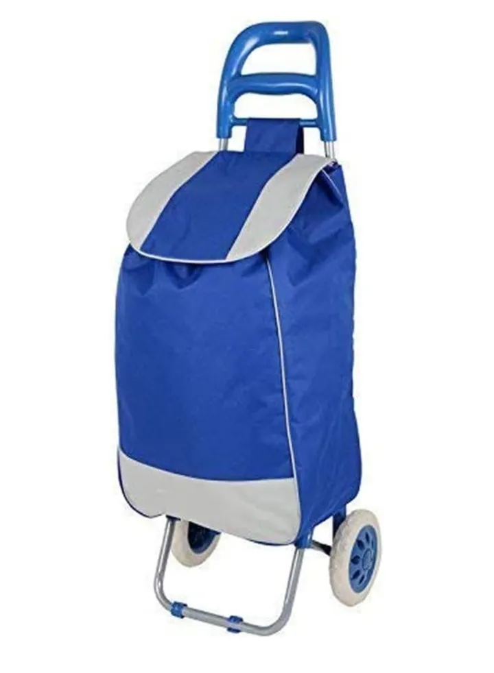 2 Wheels Foldable Grocery Shopping Trolley Detachable Bag Utility Pull And Push Carts Basket For Groceries Laundry Luggage Picnic Travel Camping Outdoor