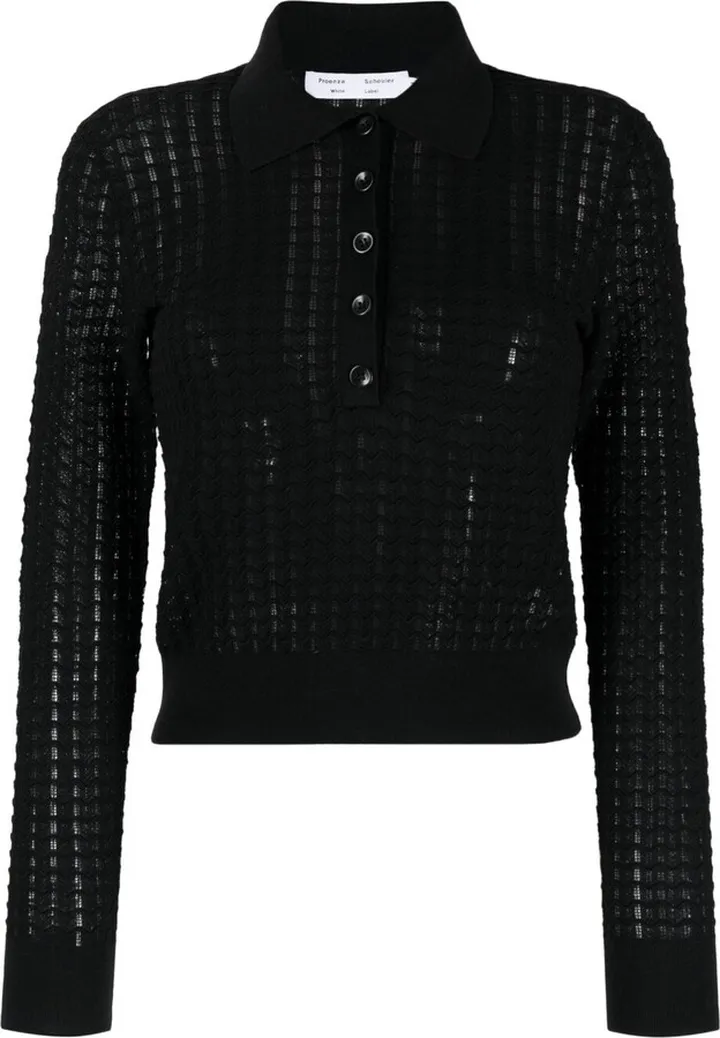 Sheer Long-Sleeve Polo Top