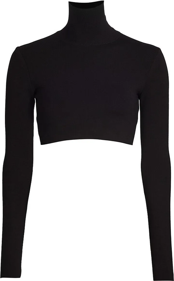 Knit Turtleneck Crop Top