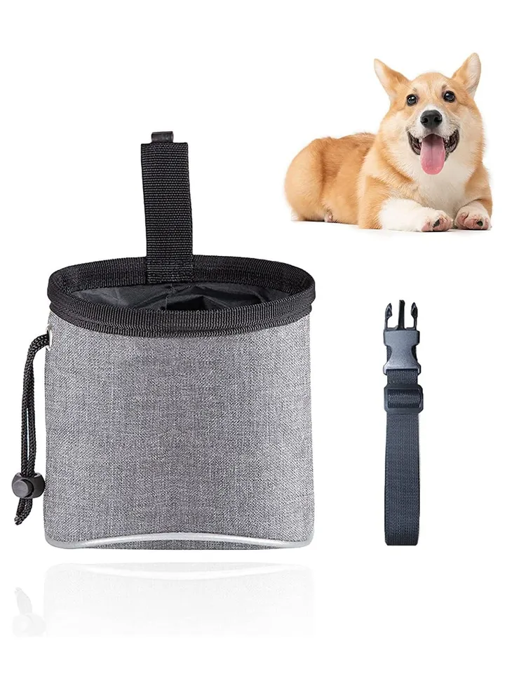 Dog Treat Bag, Waterproof Dog Training Pouch, Hand-Free Dog Walking Bag with Adjustable Waist Belt, Pet Puppy Treat Pouch Bag for Dog Training Walking Travel Outdoor Use(Grey)